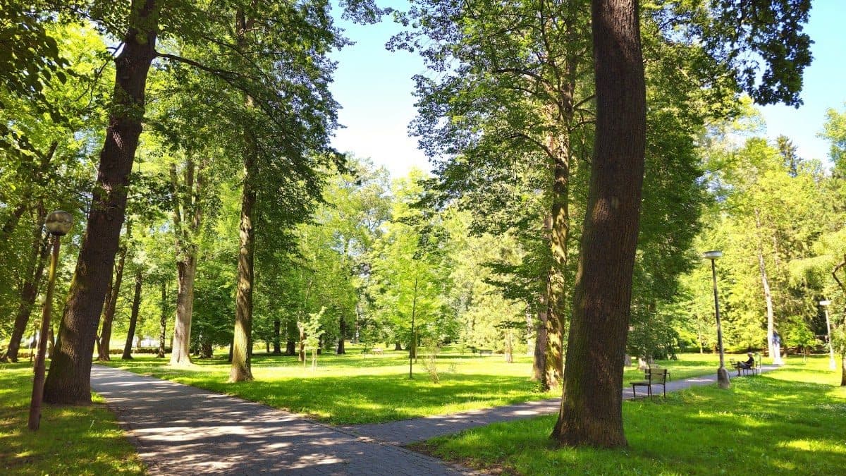 Městský park Česká Lípa — fotka 2