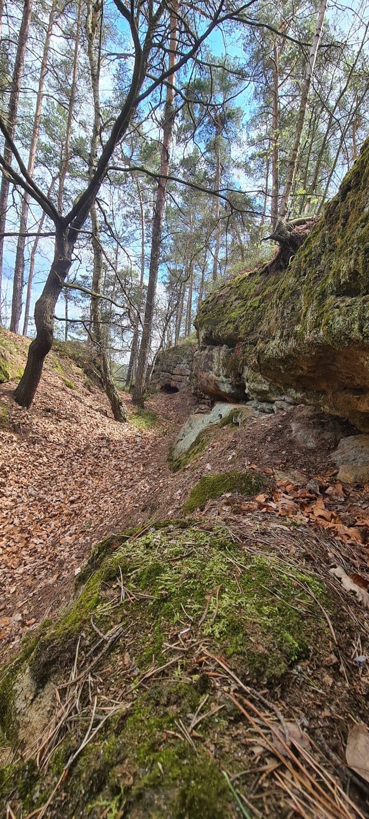 zřícenina Robečský hrádek — fotka 1
