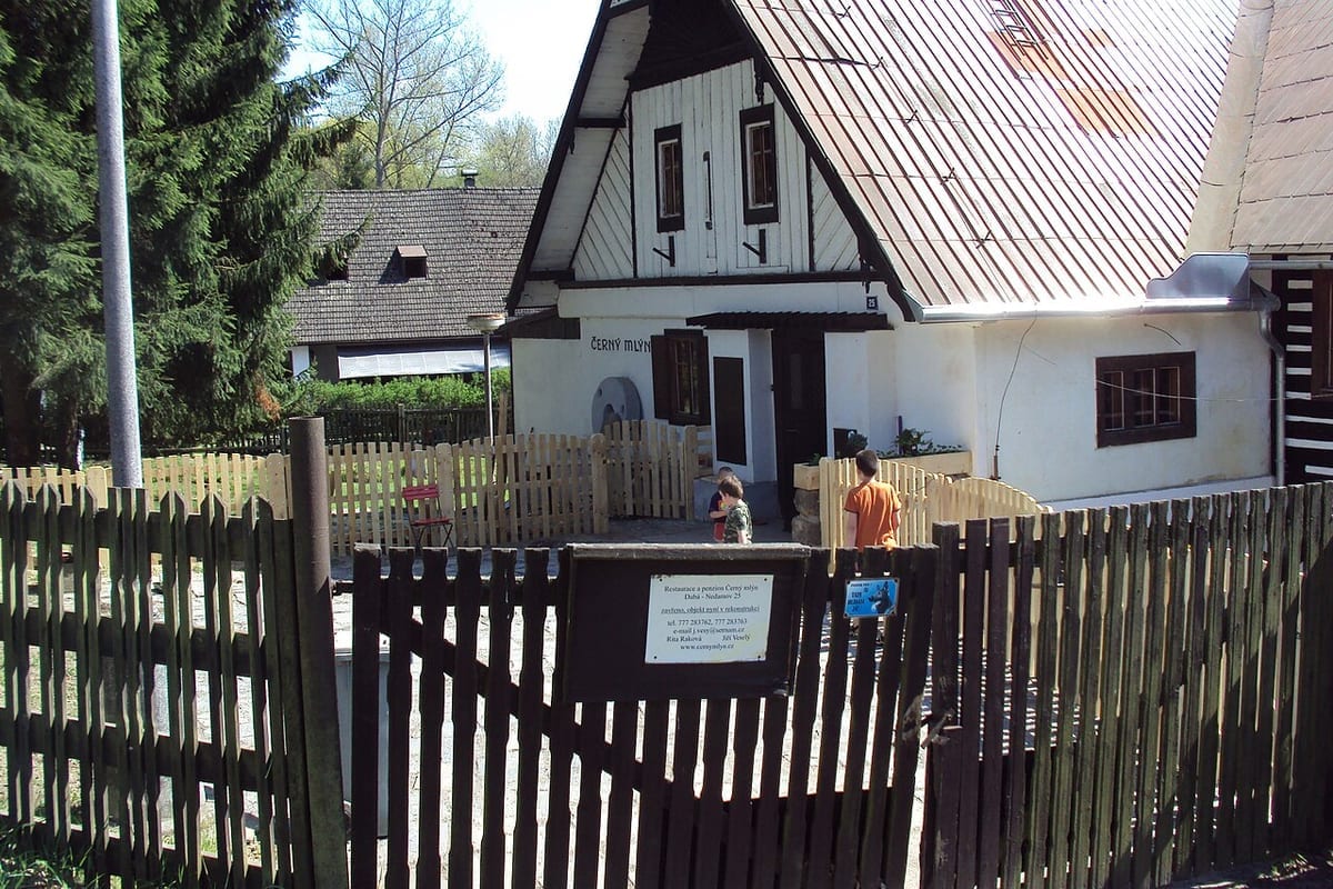 Přírodní koupaliště Nedamov — tip na výlet v okolí České Lípy