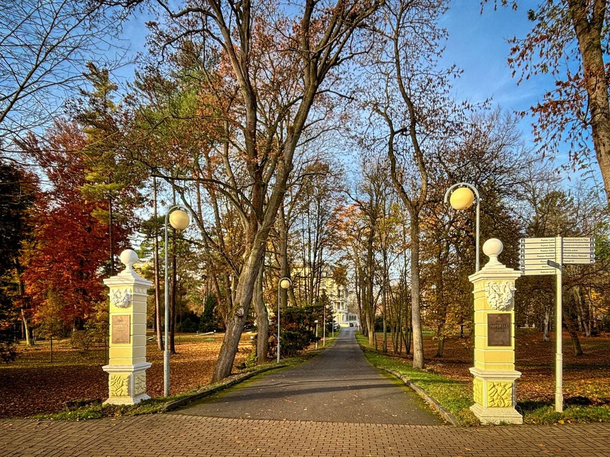 U Řezníka — Bar (fotka 2/4)