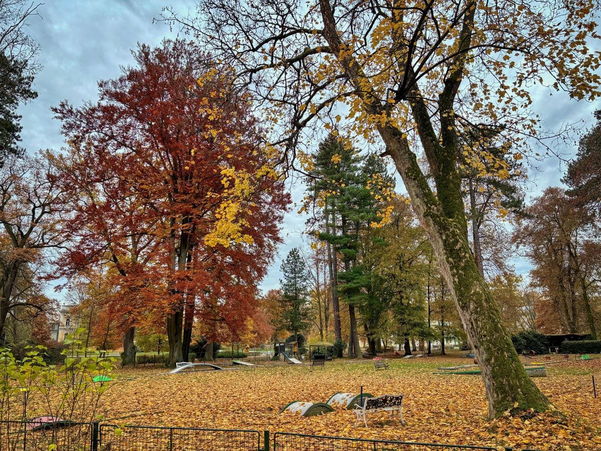 U Řezníka — Bar (fotka 3/4)