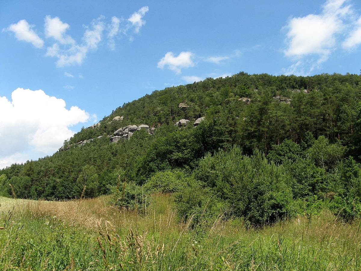 Vrch Vlhošť — tip na výlet v okolí České Lípy